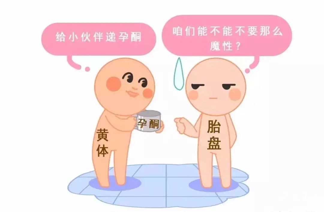 HCG和孕酮低一定會流產(chǎn)？備孕女性必須知道的孕早期“秘密”