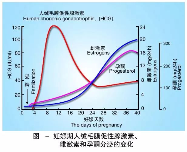 懷孕期間HCG低怎么辦？