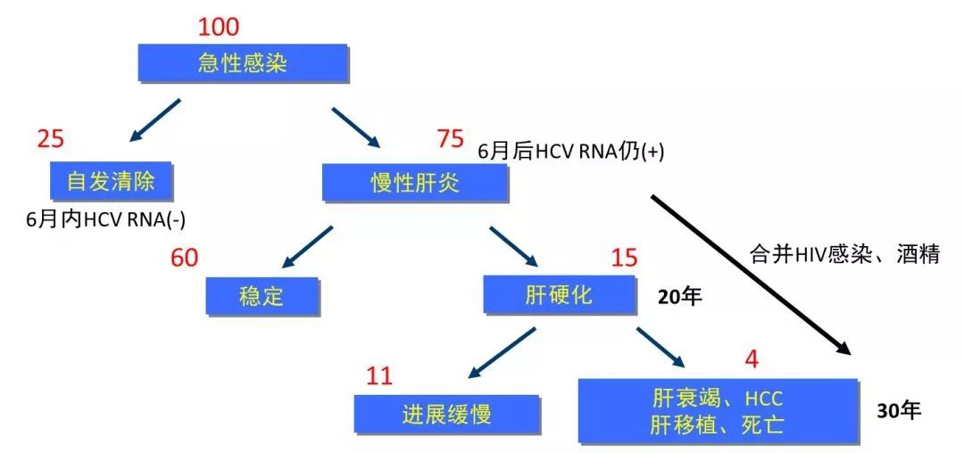 丙肝檢測的弱陽性究竟是不是感染了丙肝？